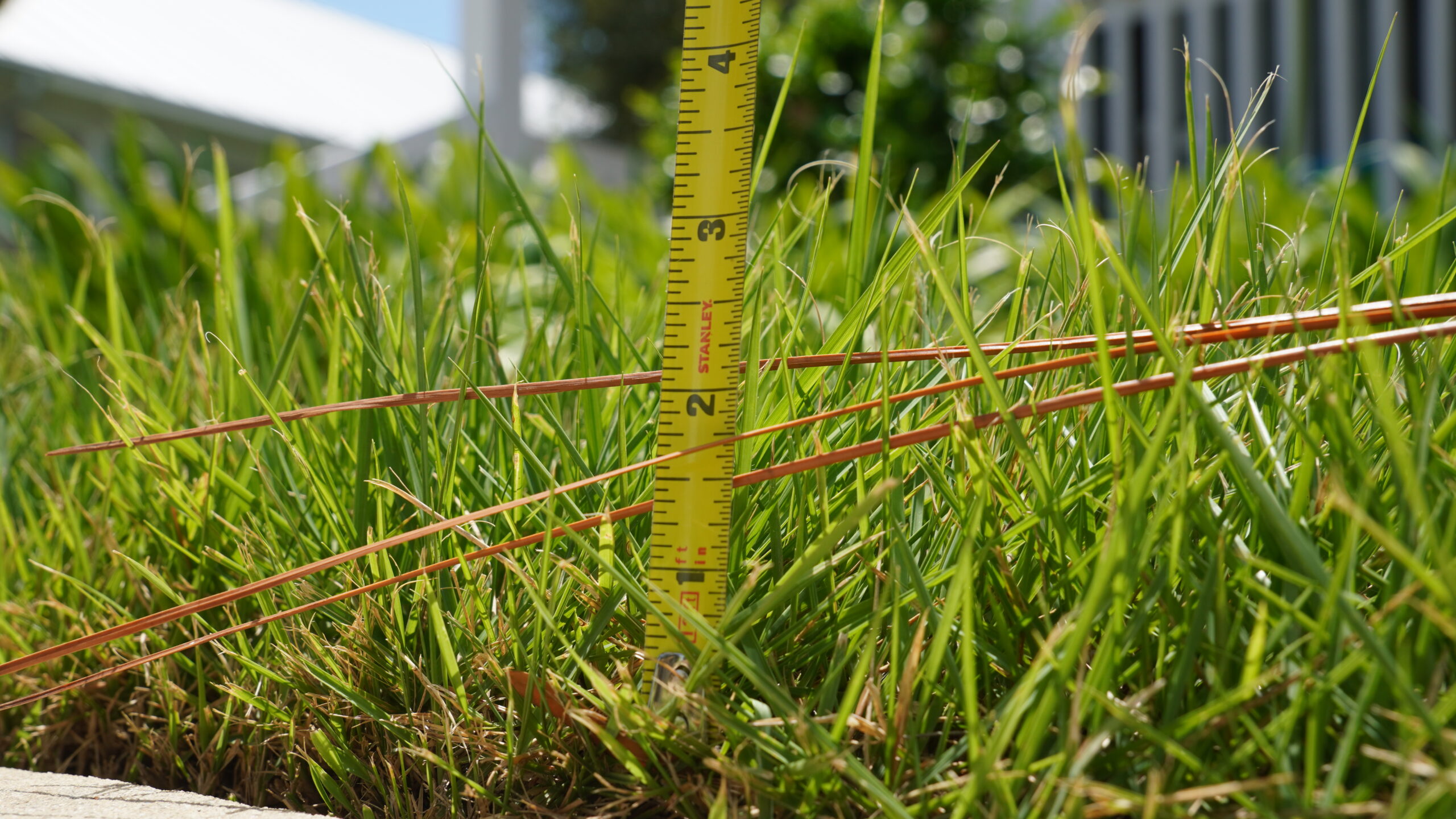 No – Niceville Won’t Dump Gravel on Your Lawn If Your Grass Gets Too ...