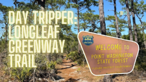 The Longleaf Greenway Trail in Point Washington State Forest offers an 8-mile hiking and biking experience with scenic solitude and challenging terrain.
