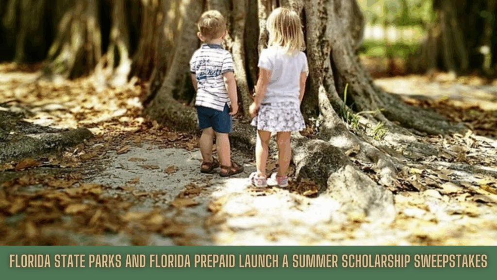 Two young children stand side by side, looking up at the roots of a large tree in a sun-dappled Florida state park.
