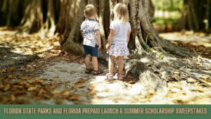 Two young children stand side by side, looking up at the roots of a large tree in a sun-dappled Florida state park.