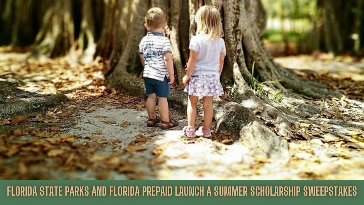 Two young children stand side by side, looking up at the roots of a large tree in a sun-dappled Florida state park.