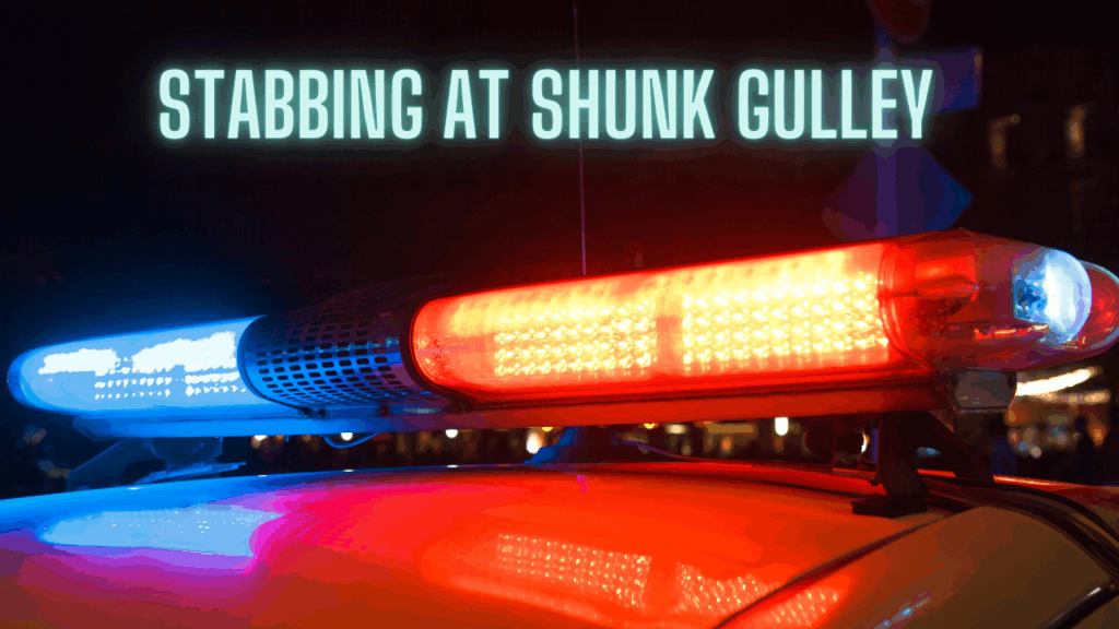 Police lights flashing at night with the headline “Stabbing at Shunk Gulley” overlaid in bold text.