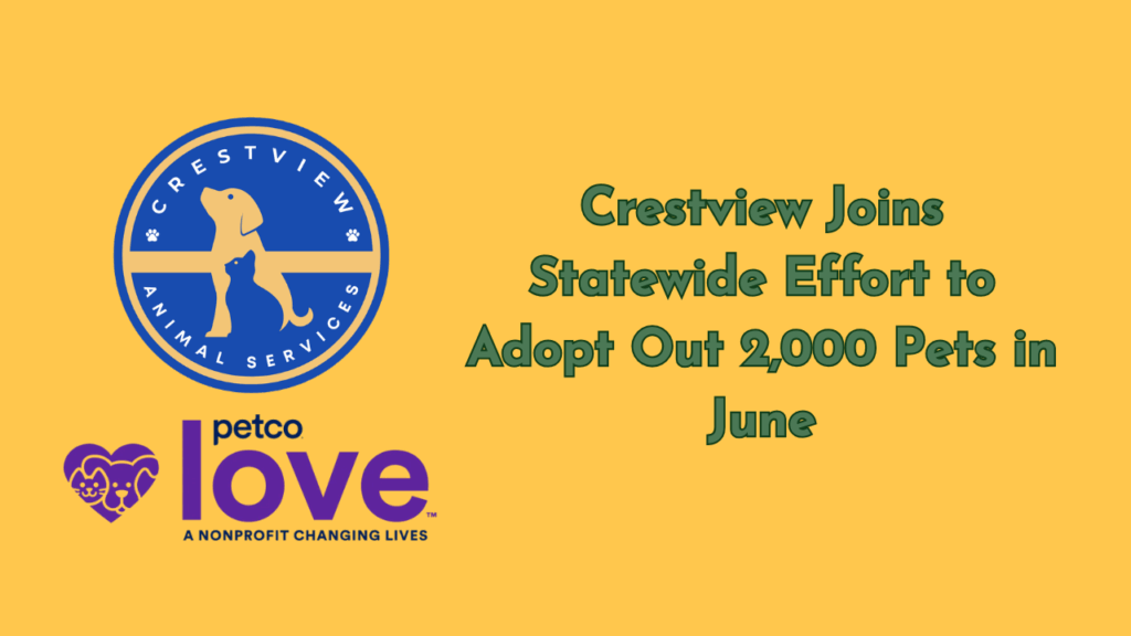 Crestview Animal Services and Petco Love logos with text reading “Crestview Joins Statewide Effort to Adopt Out 2,000 Pets in June” on a yellow background.