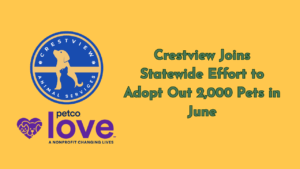 Crestview Animal Services and Petco Love logos with text reading “Crestview Joins Statewide Effort to Adopt Out 2,000 Pets in June” on a yellow background.
