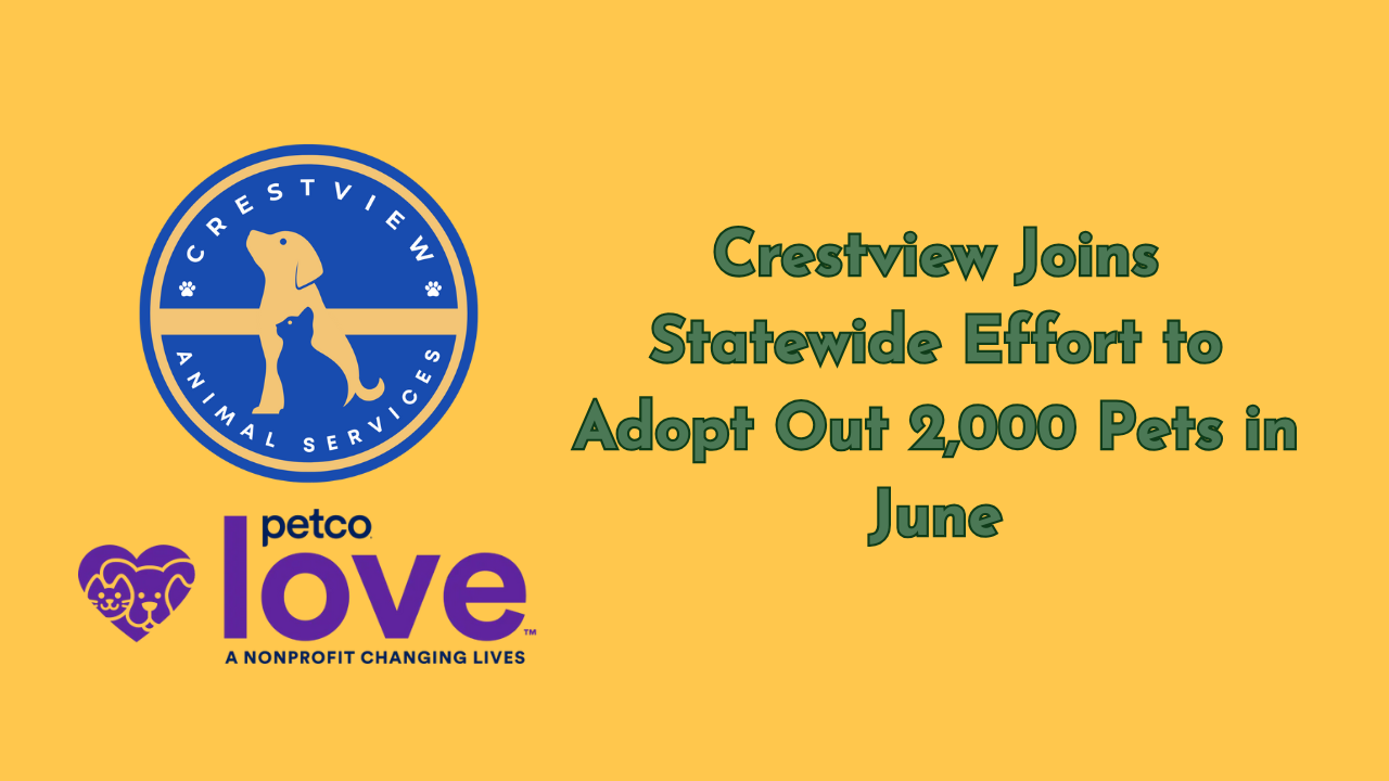 Crestview Animal Services and Petco Love logos with text reading “Crestview Joins Statewide Effort to Adopt Out 2,000 Pets in June” on a yellow background.