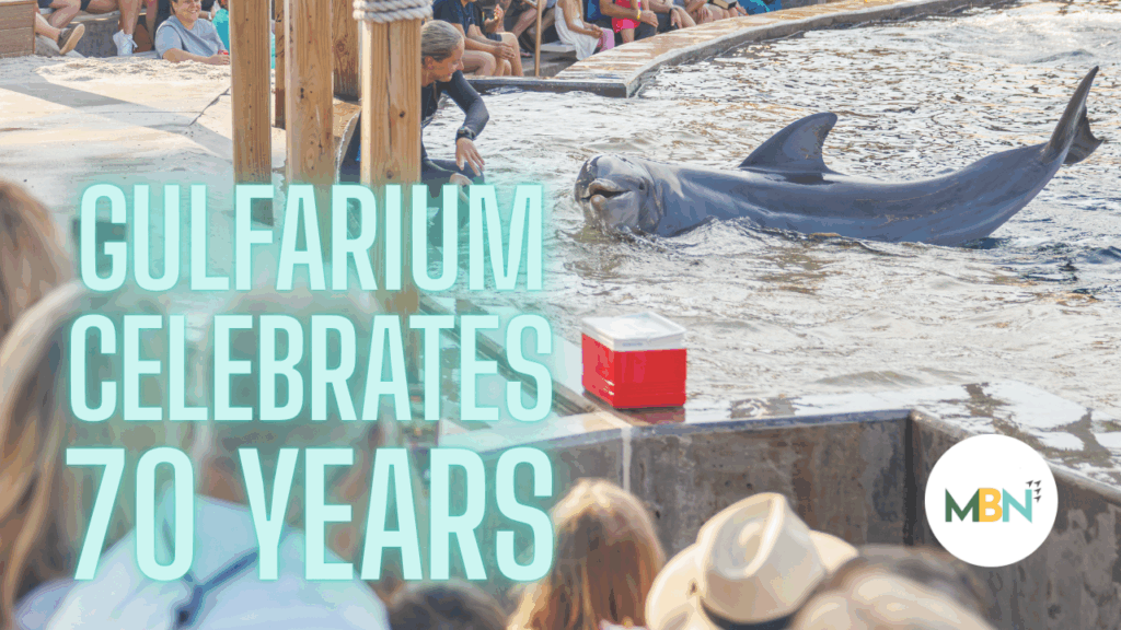 Gulfarium Marine Adventure Park will mark its 70th anniversary with year-long events, discounted tickets, and continued focus on marine education and conservation.