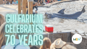 Gulfarium Marine Adventure Park will mark its 70th anniversary with year-long events, discounted tickets, and continued focus on marine education and conservation.