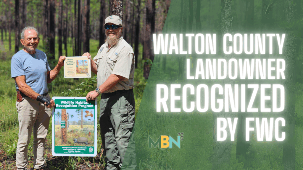 Michael Jenkins of Walton County received recognition from FWC for transforming his private land into a wildlife conservation site supporting native species and ecosystems.