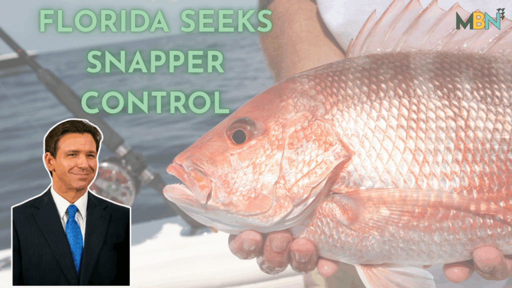 Florida is seeking federal approval to manage the Atlantic red snapper season, which is set to begin in 2026, potentially extending it to 39 days and boosting the coastal economy.