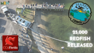25,000 tiny redfish made a big splash in Cinco Bayou — a major step to protect local waters and support Northwest Florida anglers!