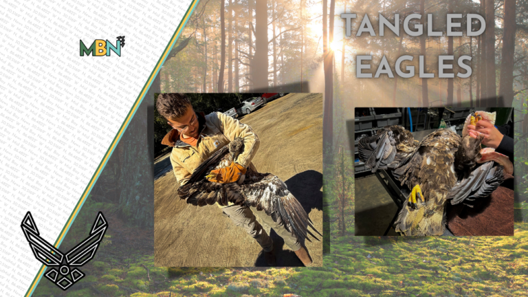 What started as a routine call turned into a race against time to save two of America’s most iconic birds.