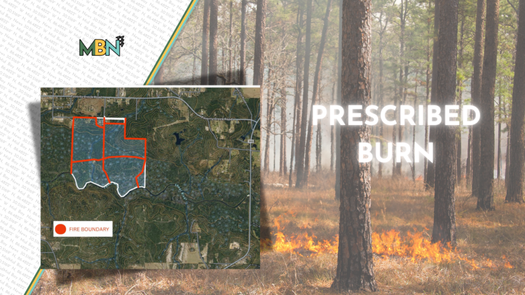 Controlled burns are coming to Shoal River Preserve — and county leaders say the move is key to wildfire safety and future outdoor adventures.
