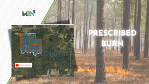 Controlled burns are coming to Shoal River Preserve — and county leaders say the move is key to wildfire safety and future outdoor adventures.