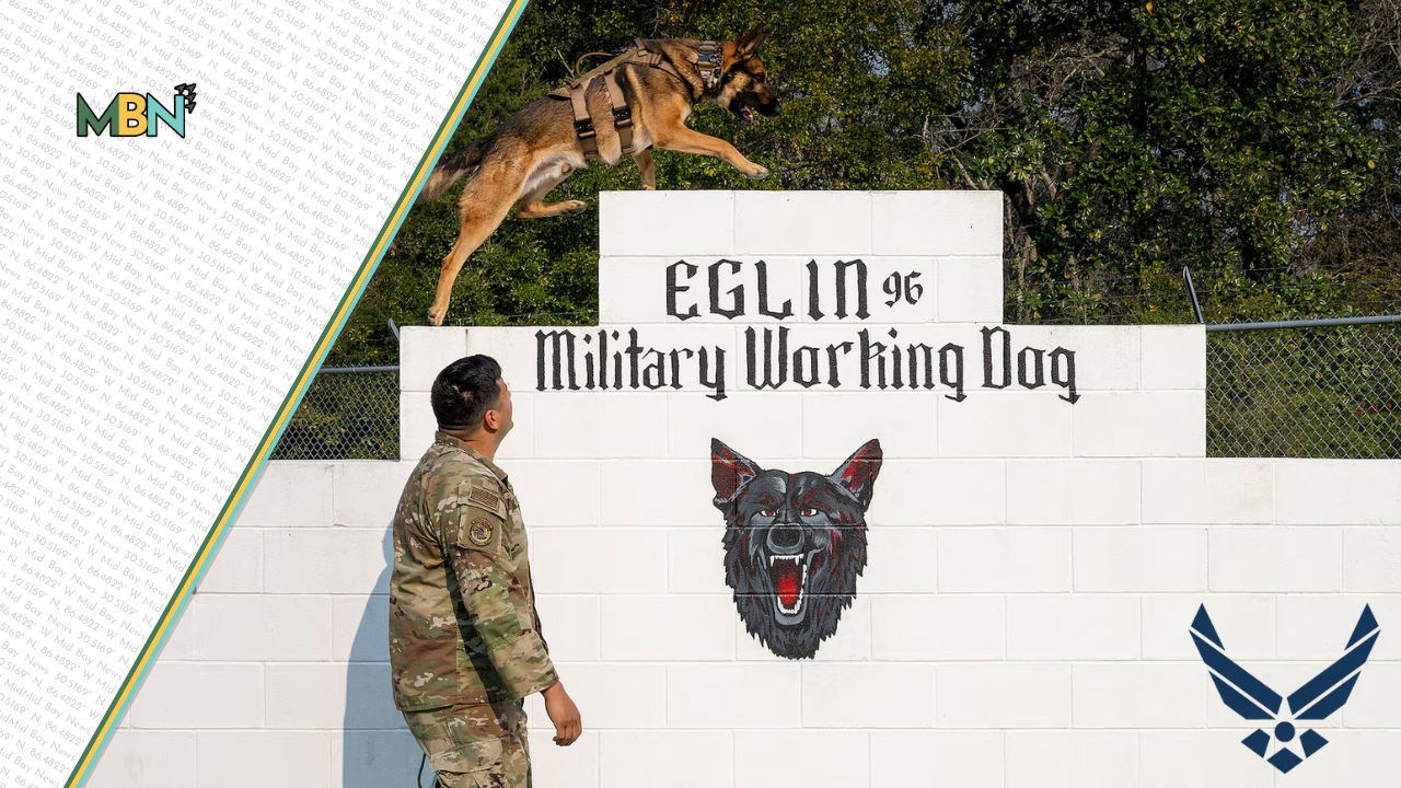 They’re fast, fearless, and fiercely trained. Watch how two military working dogs protect the mission at Eglin.