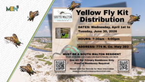 Spring in South Walton means warm weather and the return of yellow flies. Local officials are offering free traps to help residents fight the painful pests.