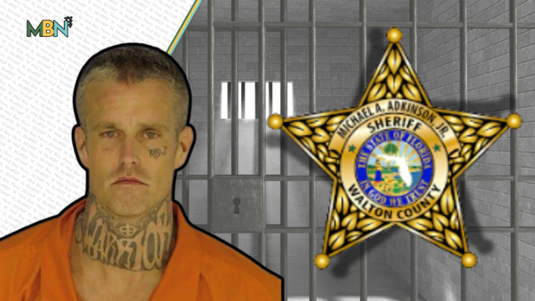 Forty charges. One arrest. Deputies say a routine stop in Walton County turned into a massive drug and weapons case overnight.