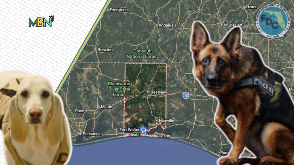 When minutes matter most, Crestview is making sure help is already on the way.