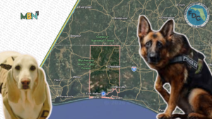 When minutes matter most, Crestview is making sure help is already on the way.