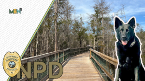 A Baker Act patient who escaped from HCA Florida Twin Cities Hospital in Niceville was safely located after a multi-agency search through Turkey Creek involving K9s, drones, and marine units.