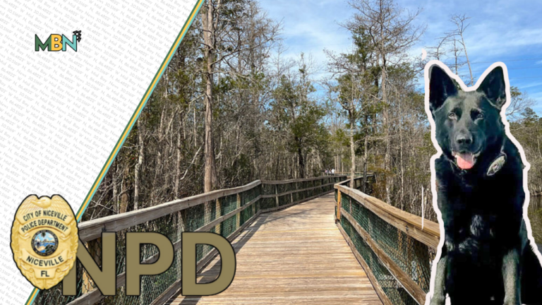 A Baker Act patient who escaped from HCA Florida Twin Cities Hospital in Niceville was safely located after a multi-agency search through Turkey Creek involving K9s, drones, and marine units.
