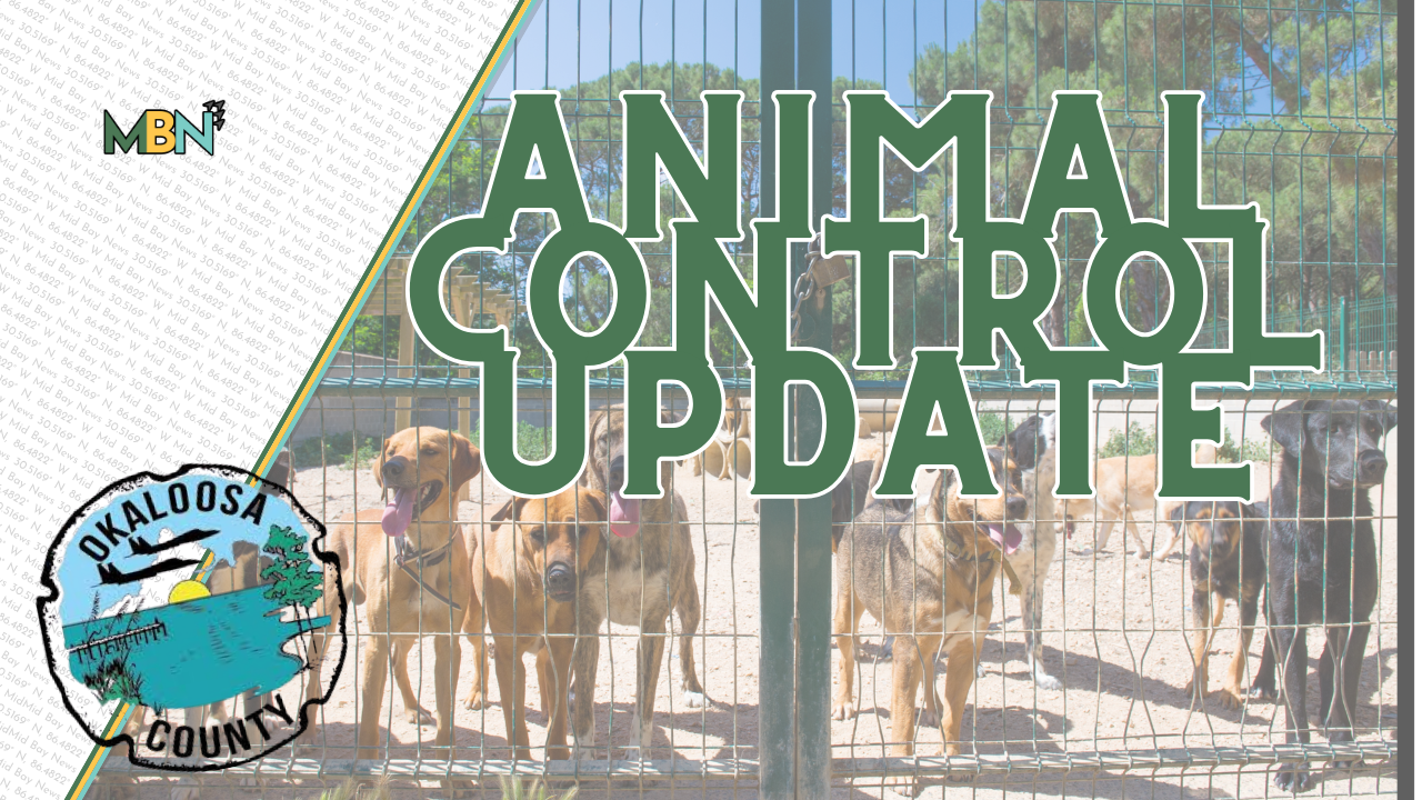 County animal control update banner with dogs behind a fence and the Okaloosa County seal in the corner