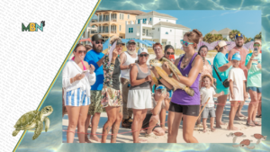 The Gulfarium CARE Center released three rehabilitated sea turtles into the Gulf after Tropical Storm Bertha delayed their return to the wild.